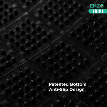 Toyota Ipsum 2nd Gen Model XM20 (2001-2010)